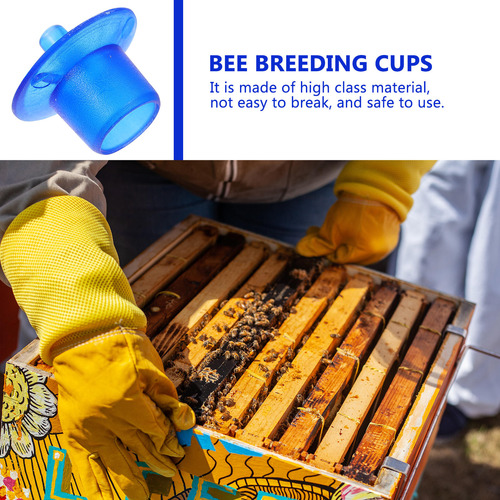 Bases De Incubación De Abejas De Estilo Americano, 100 Unida
