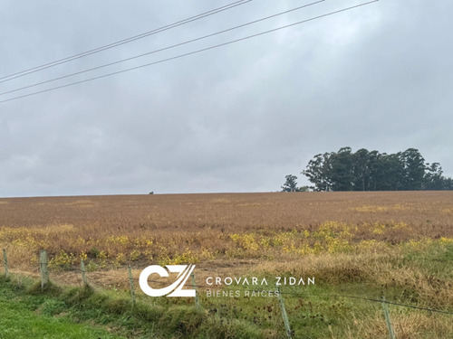Venta Campo Libertad