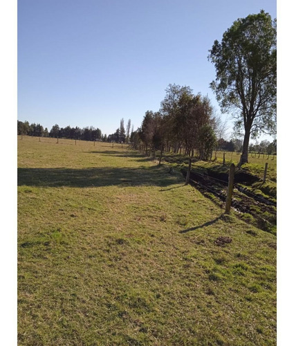 Imagen 1 de 18 de Se Vende Campo Ganadero De 30 Hectareas Comuna De Frutilla