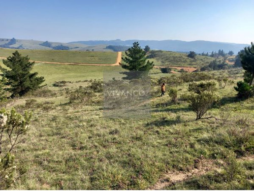Agrícola En Venta En Paredones