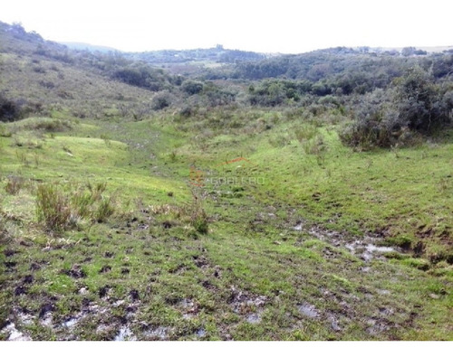 Campo En Venta En Uruguay, Lavalleja A Pocos Km De Minas- Ref: 22035