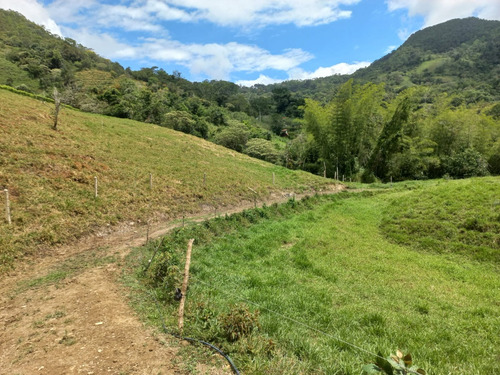 Venta De Hermoso Lote En La Vega