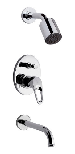 Imagen 1 de 7 de Griferia Ducha Fv 0106/b1 Arizona Monocomando