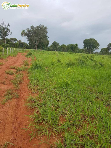 Imagem 2 de 8 de Fazenda À Venda Em Dois Irmãos Do Buriti - Ms - 375 Hectares - 2132