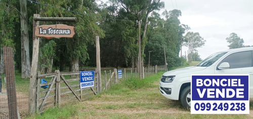 Santa Rosa 1,1 Hectareas En Excelente Ubicación