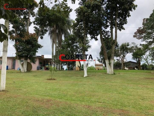 Imagem 15 de 15 de Chácara Com 4.000m² Na Primavera. - 254