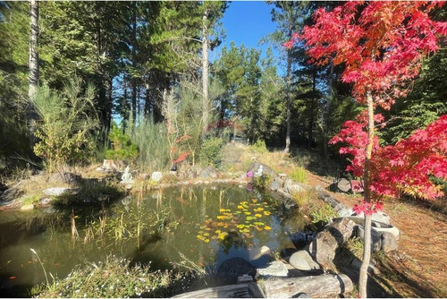 Arriendo Casa En Parcela Pucon