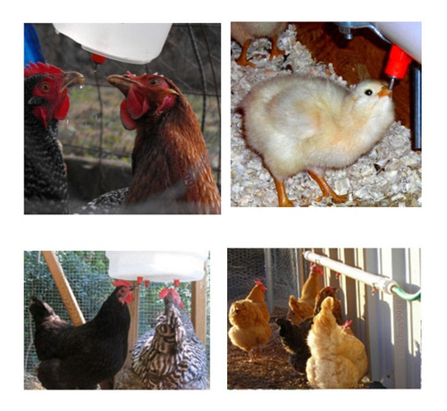 Bebedero Nipple Automático Para Gallinas Con Rosca