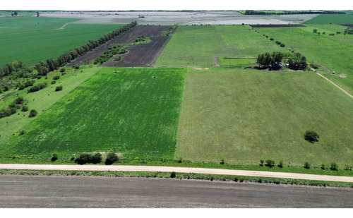 Vendo Campo 46 Has En Colonia Los Ceibos Entre Ríos