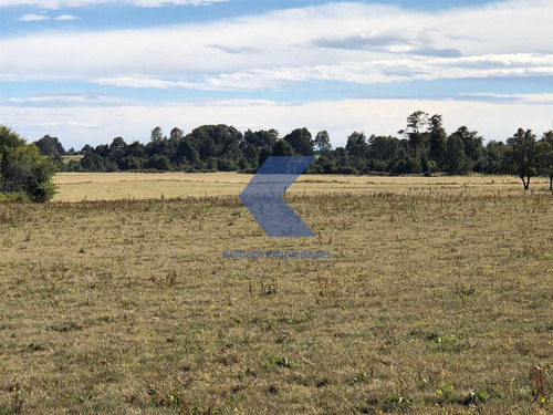 Hermoso Terreno Lechero En Venta En Los Muermos