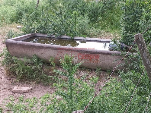 Imagen 7 de 30 de Venta De Campo De 21 Has Entre Jeppener Y Ranchos