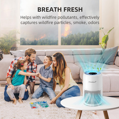 Purificador De Ar Aroma Room Ap100-a True Hepa13 3 Em 1 Azul
