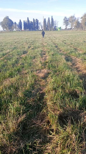 Terreno En Venta - 300mts2 - Ezeiza