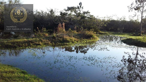 Imagem 6 de 13 de Excelente Oportunidade Em Itapuã - Si0048