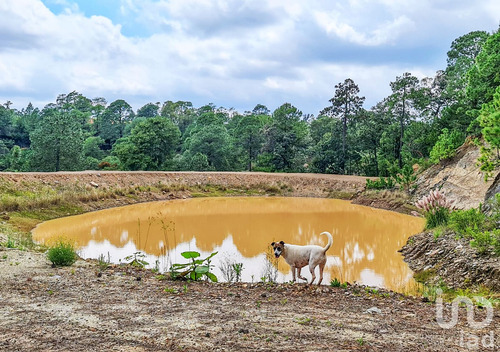 Venta Rancho 0 Ambiente Cochisquila