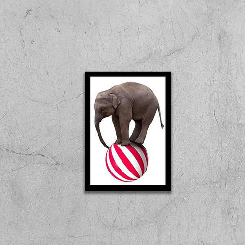 Quadro Decorativo Elefante Em Cima Da Bola 34x23cm