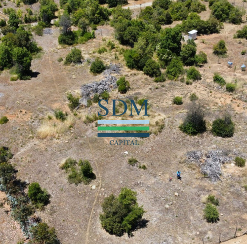 Venta Parcela 5000mts San Clemente
