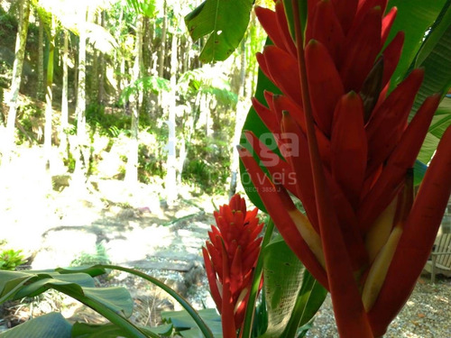 Chácara À Venda Em Canelinha/sc - 1389c
