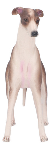 Figura Modelo De Perro Galgo Para Mascotas, Educación Cientí