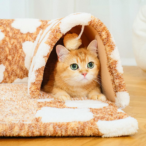 De Gato Y Juguete De Cama Juguete Interactivo Con Talla