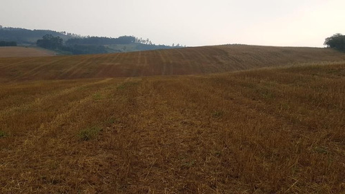 A16- Lotes De 500m A Venda Em Atibaia