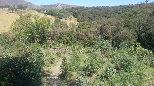 Imagem 2 de 4 de Terreno, Parque Laranjeiras, Pirapora Do Bom Jesus - R$ 150 Mil, Cod: 235161 - V235161