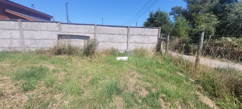 Se Arrienda Parcela De 5.000 Mt2