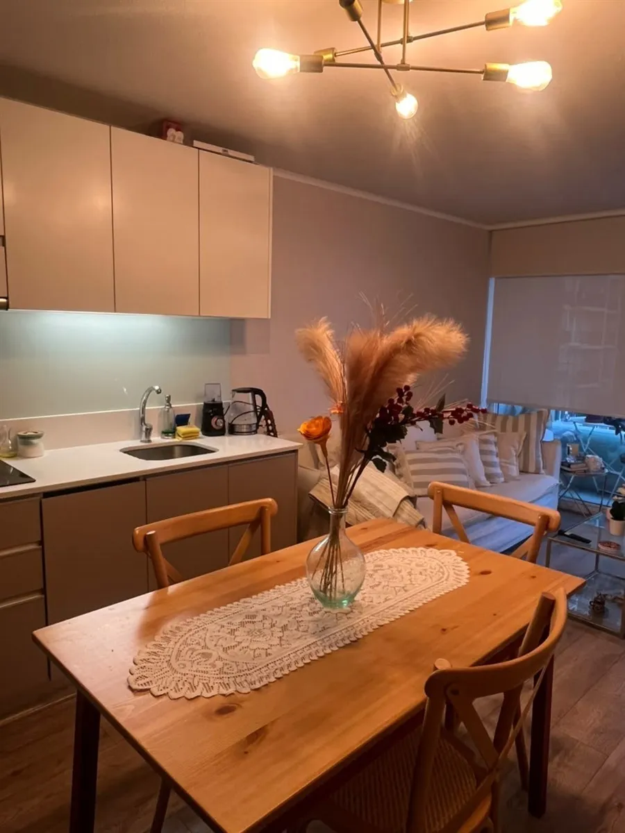 Imagen 2 de 16 de Arriendo Departamento 2d+1b Con Metro Hospitales + E