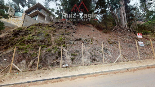 Imagen 13 de 13 de Venta De Maravilloso Terreno En Zapallar, Diego Sutil