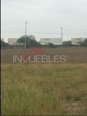 Imagen 7 de 30 de Terreno Industrial En Renta En Paseo Del Norte, Salinas Vict