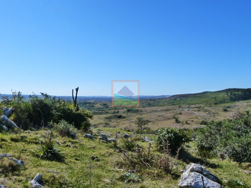 Imagen 21 de 30 de 79 Hás Campo Criador Y Serrano En Corte De La Leña