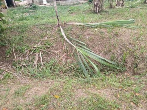 Imagem 9 de 12 de Chácara Em Itariri, No Bairro Ana Dias, Com 1.000 M² De Área Total E Com Vaga Para 20 Automóveis Ref: 7769/ac
