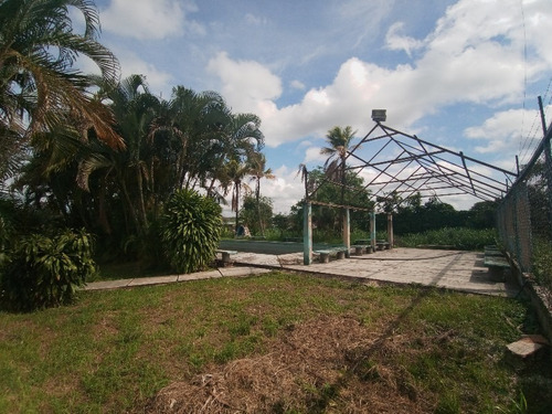 Imagen 10 de 11 de En Venta Finca En Tinaquillo Edo-cojedes