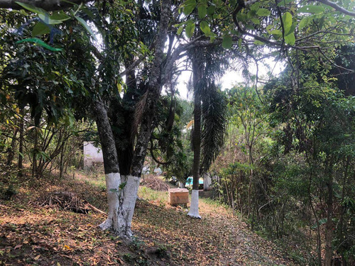 Imagem 12 de 23 de Sítio Com 3 Dorms, Batatuba, Piracaia - R$ 689 Mil, Cod: 2758 - V2758