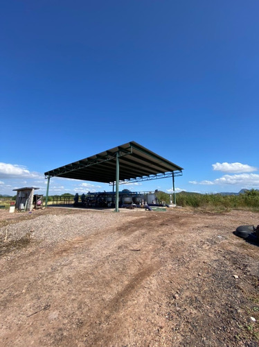 Terreno Agricola Campo Esperanza El Fuerte, Sinaloa