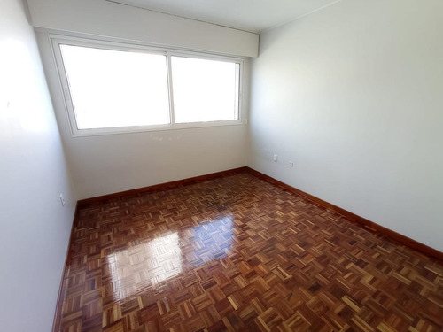 Imagen 10 de 18 de Apartamento - Rambla Y Pereira De La Luz, 200 M2 , Gge * 2 , Box , Reciclado !!