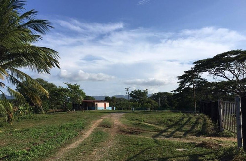Century21 Vende Terreno De 100 Hectáreas