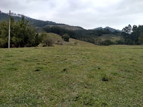 Imagem 6 de 15 de Sitio - Fazenda Rio Das Garcas - Ref: 32161 - V-32158