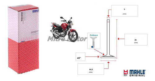 Valvula Admison Yamaha Ybr 125cc Mahle