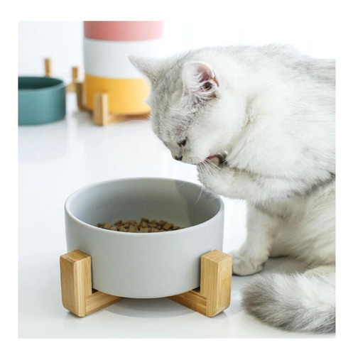 Comedero Bebedero Ceramico Base Madera Gato Perro Verde M