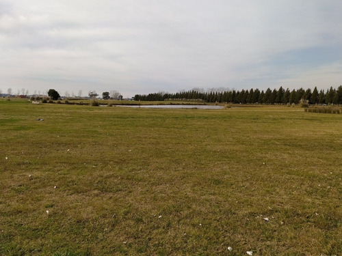 Imagen 4 de 5 de Lote En Venta Puerto Chascomús