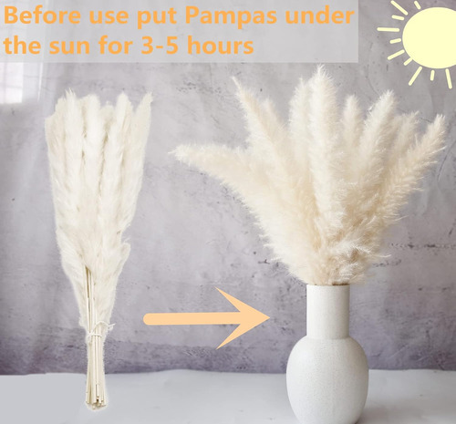 Ramo Hierba Pampa Grass Seca Decoración Pack X 110pzas