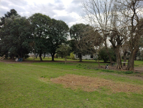 Imagen 11 de 19 de Chacra 4 Hectareas - Los Cardales - Ruta 39