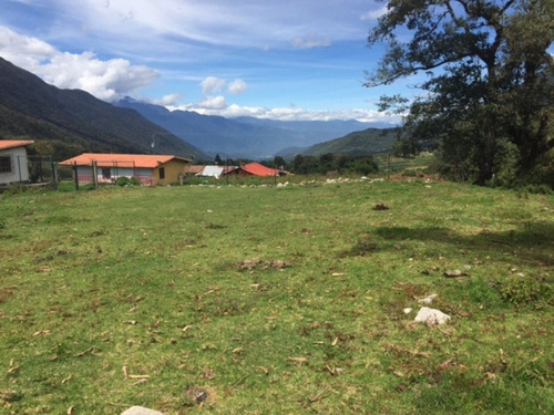 Imagen 13 de 14 de Casa De Campo En Venta, 3 Cabañas Equipadas - La Culata El Valle Mérida