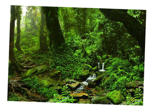 Pvc Imagen 3d Pintura Acuario Decorativo Accesorio 122x46cm