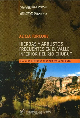 Hierbas Y Arbustos Del Valle Inferior Del Rio Chubut