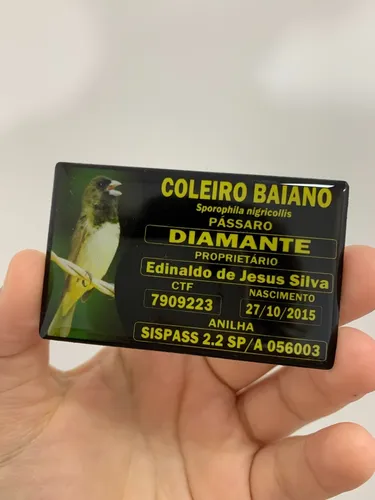 PLACA DE IDENTIFICAÇÃO PVC - COLEIRO BAIANO - FÊMEA