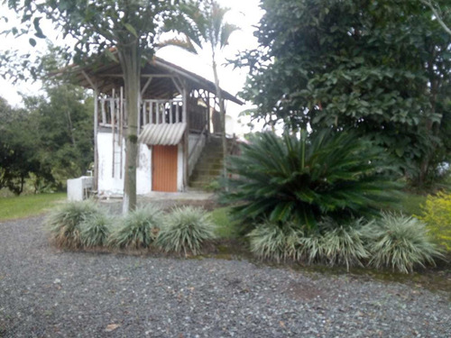 Imagen 26 de 29 de Se Vende Finca Vía Quimbaya