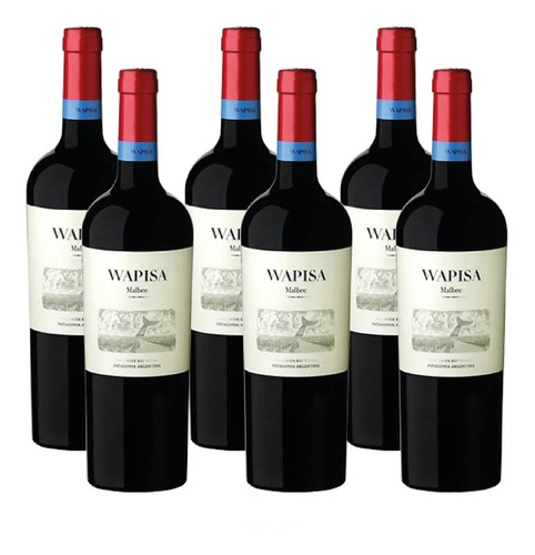 Caja X 6 Vinos - Wapisa Malbec ( Patagonia Atlántica )