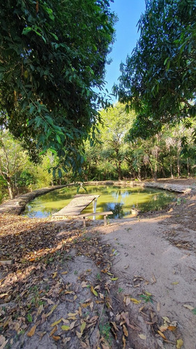 Imagem 8 de 14 de Chácara A Venda - Bairro Aparecidinha - Distrito De Jacuba